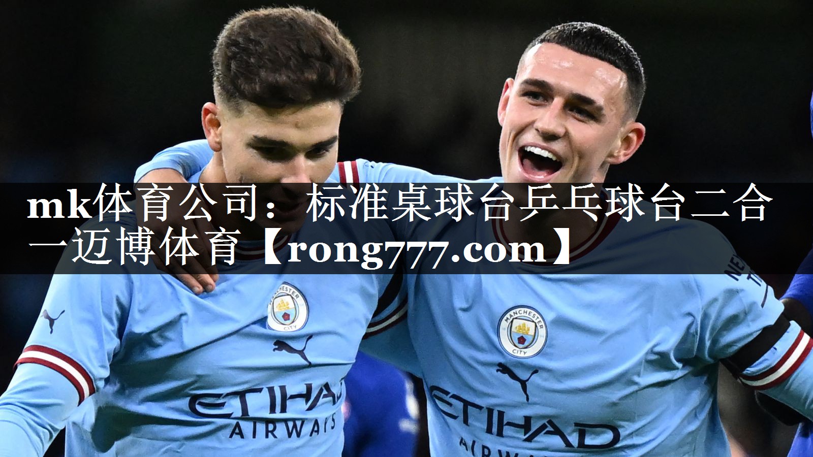 mk体育公司：标准桌球台乒乓球台二合一迈博体育